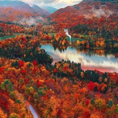 2023年香港资料精准手机app下载