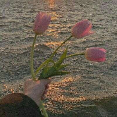 星空体育2024下载app下载