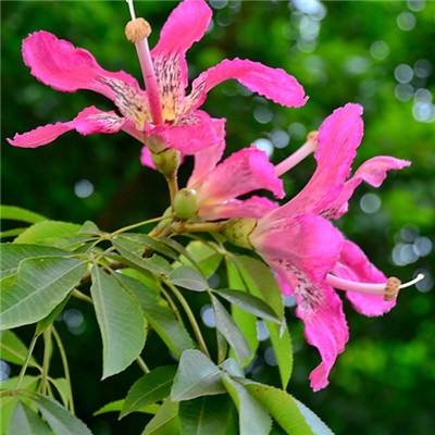 Kaiyun(云开)体育App(官方)截图