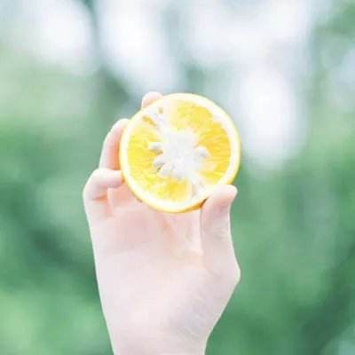 雅博app官网下载